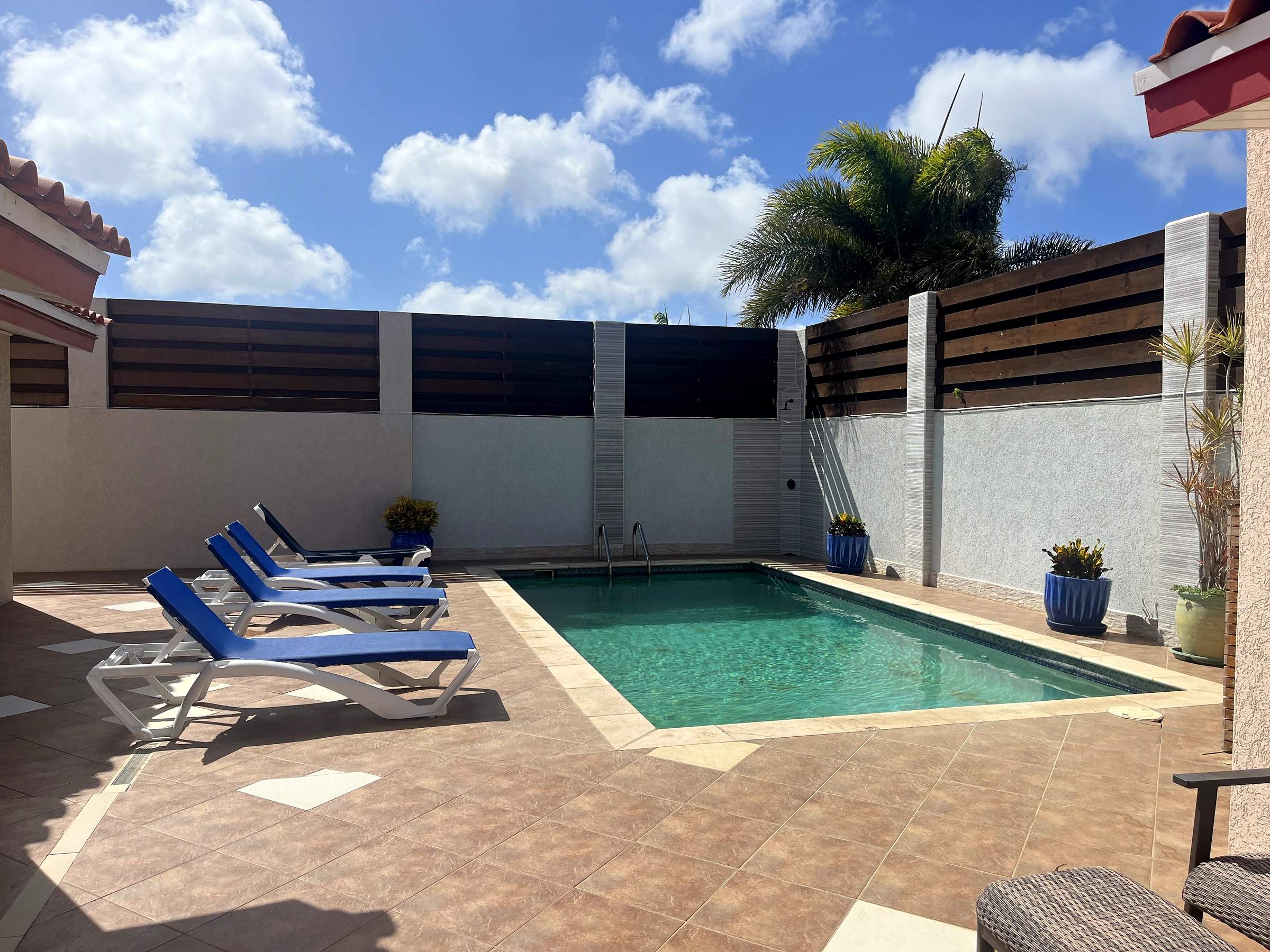 The pool under the palm